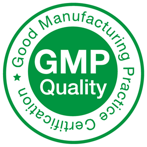 logo_gmp