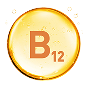 vitamin_b12